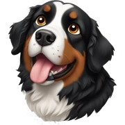 Bernese mountain dog sticker