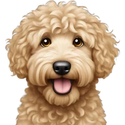 Goldendoodle  sticker