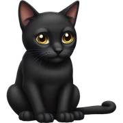 Black cat  sticker