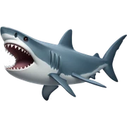 shark sticker