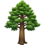 Tall pine tree sticker