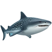 Whale shark sticker