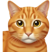 orange cat sticker