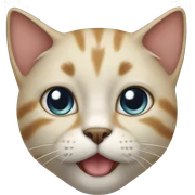 Cat  sticker