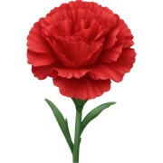 red carnation sticker