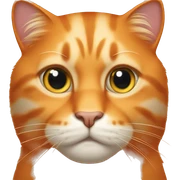 Big orange cat  sticker