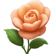 Peach colour Flower 🌹  sticker
