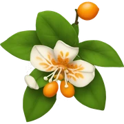 Orange blossom sticker