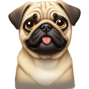 Perro pug  sticker