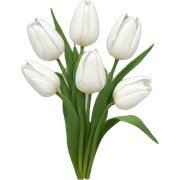 White tulips sticker