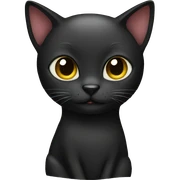 black cat  sticker