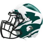 Philadelphia eagles  sticker