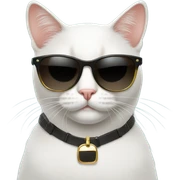 Cat with sunglasses sticker