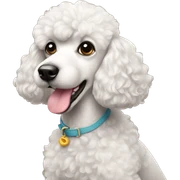 poodle sticker
