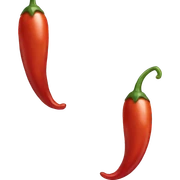 fire chilli sticker