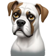 white Boxer sticker