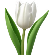 White tulips  sticker