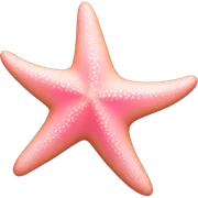 starfish, pink sticker