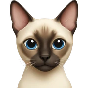 siamese cat sticker