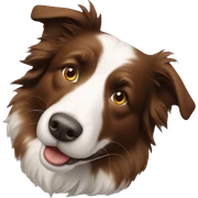 Brown Border Collie sticker