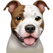 pitbull sticker