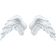 Angel wings  sticker