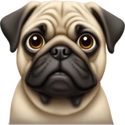pug sticker