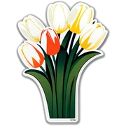 White tulips sticker