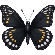 Black butterfly  sticker