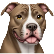 pitbull sticker