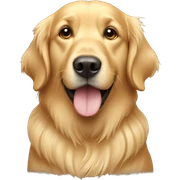 Golden retriever  sticker