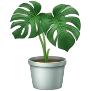Monstera plant sticker