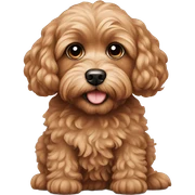Cavapoo sticker