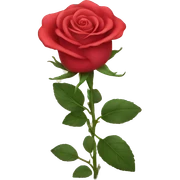 Rose sticker