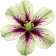 flower sticker