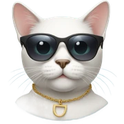 Cat with sunglasses sticker