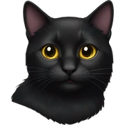 Black cat sticker