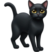 black cat sticker