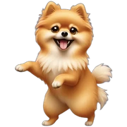 Pomeranian dancing sticker