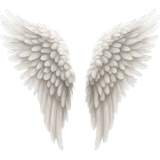 small drawing of wings sticker