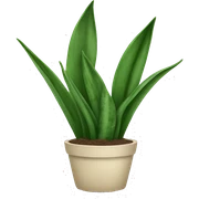 snake plant  sticker
