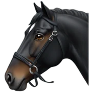 Black horse sticker