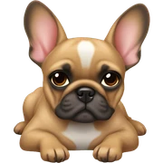 Fawn frenchie laying sticker