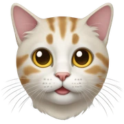 Cat sticker
