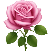 Pink roses  sticker