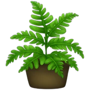 Fern sticker