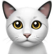 Black and white cat sticker