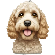 cockapoo sticker