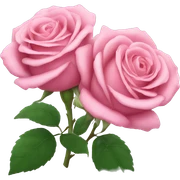 Pink roses  sticker