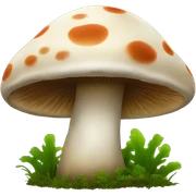 mushroom sticker